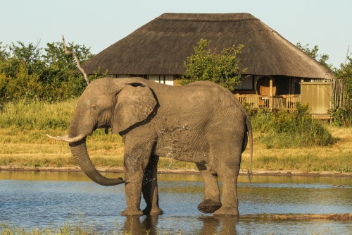 Nehimba Lodge 005